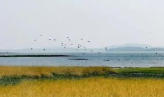 香山公园地图 香山公园地图